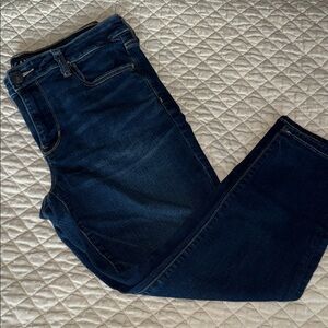 American Eagle 14 X Short Jegging